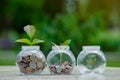 Coin tree Glass Jar Plant growing from coins outside the glass jar money saving and investment financial concept Royalty Free Stock Photo