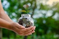 Coin tree Glass Jar Plant growing from coins outside the glass jar money saving and investment financial concept