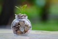 Coin tree Glass Jar Plant growing from coins outside the glass jar money saving and investment financial concept Royalty Free Stock Photo