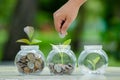 Coin tree Glass Jar Plant growing from coins outside the glass jar money saving and investment financial concept