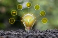 The coin tree growing in energy-saving light bulbs includes energy-saving icons, energy-saving ideas Royalty Free Stock Photo