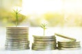 Coin with tree in mutual funds concept. Royalty Free Stock Photo