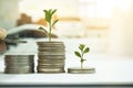 Coin with tree in mutual funds concept. Royalty Free Stock Photo
