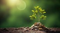 Coin tree The tree grows on the pile. Saving money for the future. Investment Ideas and Business Growth. Green background with Royalty Free Stock Photo