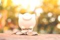 Coin with white piggy bank on old wood Royalty Free Stock Photo