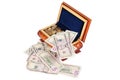 Coins and banknotes in the box Royalty Free Stock Photo