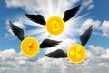 Coins Bitcoin, Ethereum, Ripple with wings rise in the sky upwards