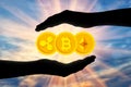 Coins bitcoin, etherium, ripple in the hands