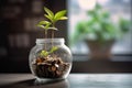 Coins in a bottle and the green tree, Represents the financial growth. The more money you save. Royalty Free Stock Photo