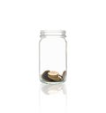 Coins in a bottle, Represents the financial growth. The more money you save, the more you will get. Royalty Free Stock Photo