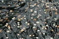 Coins on the bottom of a pond wishing well Royalty Free Stock Photo