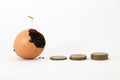 Coins and broken eggshells overgrown with plants. Royalty Free Stock Photo
