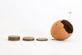 Coins and broken eggshells overgrown with plants. Royalty Free Stock Photo