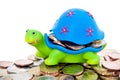 Coins and colorful turtle