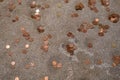 Coins of different countries of the world are left on stone to be returned back. Small denomination coins Royalty Free Stock Photo