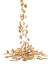 Coins are falling Royalty Free Stock Photo