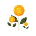 Money flowers on a white background. Increasing income and growing profits.