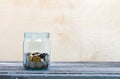 Coins in a glass jar Royalty Free Stock Photo