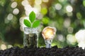 Coins in glass jar with light bulbs young plant on top put on the soil in garden with nature background Royalty Free Stock Photo