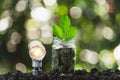 Coins in glass jar with light bulbs young plant on top put on the soil in garden with nature background Royalty Free Stock Photo