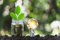 Coins in glass jar with light bulbs young plant on top put on the soil in garden with nature background Royalty Free Stock Photo