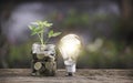 Coins in glass jar with light bulbs young plant on top put on the soil in garden with nature background Royalty Free Stock Photo