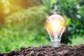 Coins in glass jar with light bulbs young plant on top put on th Royalty Free Stock Photo