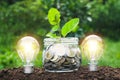 Coins in glass jar with light bulbs young plant on top put on th Royalty Free Stock Photo