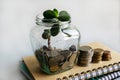 Coins in a glass jar with a small green plant sprouting represent investment or wealth. The concept of saving and increasing Royalty Free Stock Photo