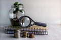 Coins in a glass jar with a small green plant sprouting represent investment or wealth. The concept of saving and increasing Royalty Free Stock Photo