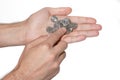 Coins in hands. Hand holding coins. Ukrainian money