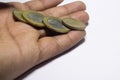 Coins in hands. saving money concept Royalty Free Stock Photo