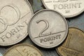 Coins of Hungary Royalty Free Stock Photo