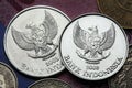 Coins of Indonesia Royalty Free Stock Photo