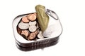 Coins inside tin