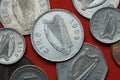 Coins of Ireland. Celtic harp Royalty Free Stock Photo