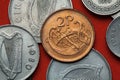 Coins of Ireland. Celtic ornamental bird Royalty Free Stock Photo