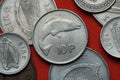 Coins of Ireland. Salmon Royalty Free Stock Photo