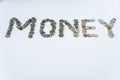 Coins isolated on solid white background spelling the word Money