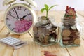 Coins in jar for money saving and Plant Growing In Saving Coins jar for Investment