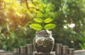 Coins in jar with money stack step growing money, Concept finance business and saving investment. Royalty Free Stock Photo