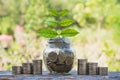 Coins in jar with money stack step growing money, Concept finance business and saving investment. Royalty Free Stock Photo