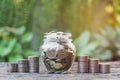 Coins in jar with money stack step growing money, Concept finance business and saving investment. Royalty Free Stock Photo