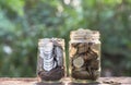 Coins in jar on nature background, Concept finance business, saving investment and accounting concept. Royalty Free Stock Photo