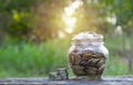 Coins in jar on nature background, Concept finance business, saving investment and accounting concept. Royalty Free Stock Photo