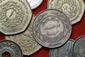 Coins of Jordan Royalty Free Stock Photo