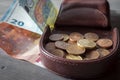 Coins in leather coin tray purse or wallet