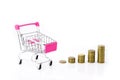 Coins money and shopping cart or supermarket trolley business finance concept isolate on white background Royalty Free Stock Photo