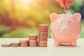 Coins Money wealth income saving with piggy bank concept outdoor with sunshine nature background