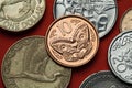 Coins of New Zealand. Maori carving